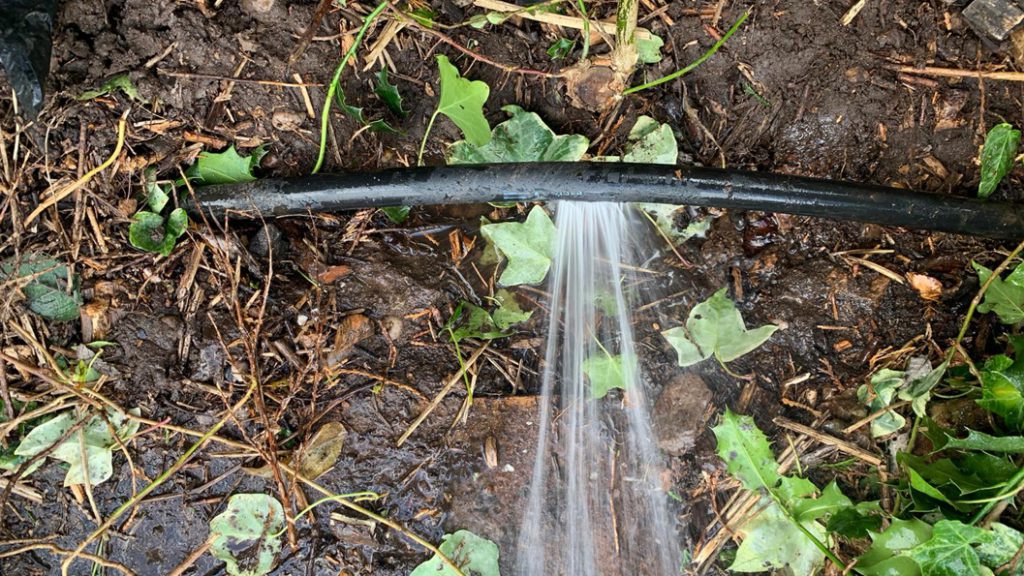 Water gushing from a split in a plastic hose supplying water to a garden pond before repair with a SylWrap Pipe Repair Kit