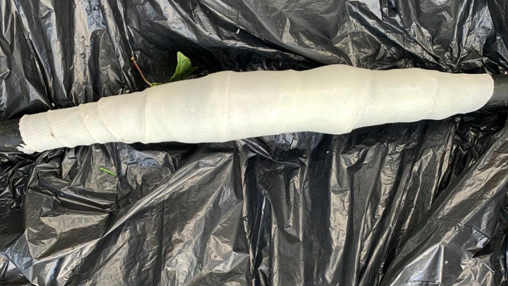 Completed repair of a split plastic garden hose accidentally damaged with a pruning saw