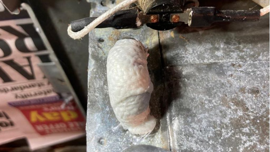 SylWrap HD Pipe Repair Bandage used to seal a burst copper pipe in a portable animal shower unit